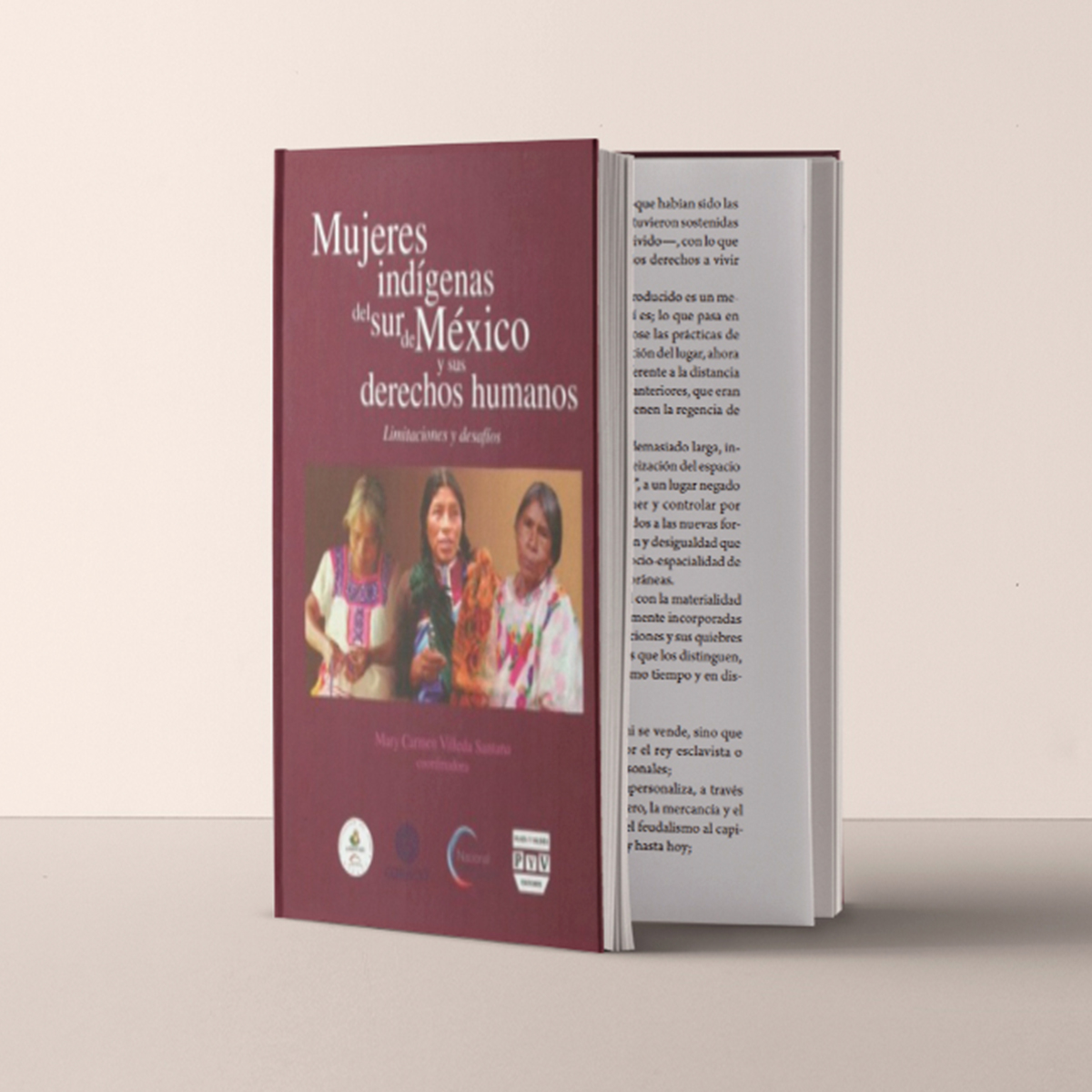 Mujeres indígenas del sur de México y sus Derechos Humanos. Limitaciones y desafíos