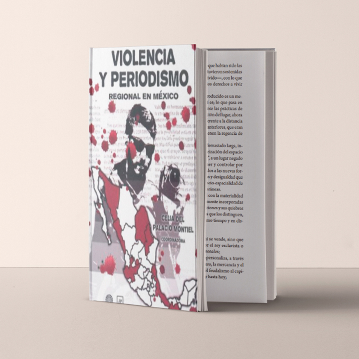 Violencia y periodismo regional en México