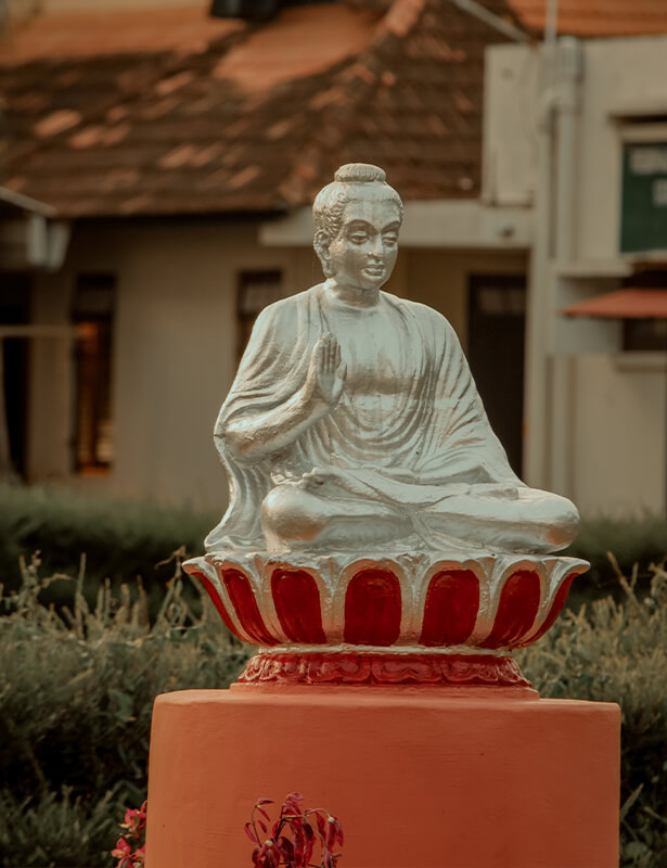 Budismo, la expansión de la mente