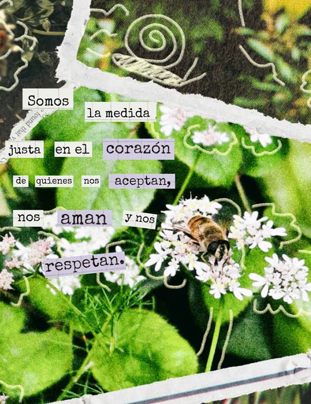 Fragmentos de un amor desbordado