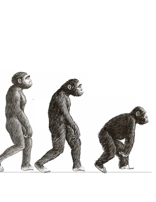 ¿Podemos involucionar?