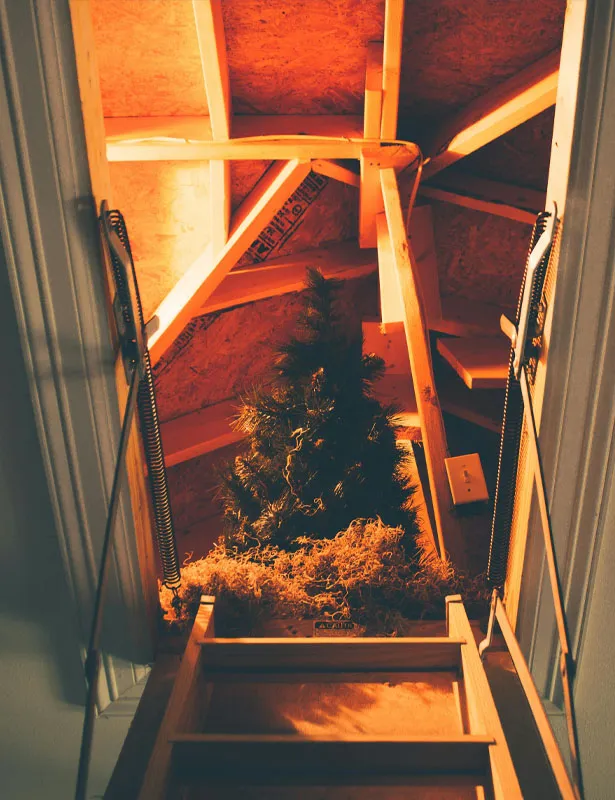 El ático del abuelo