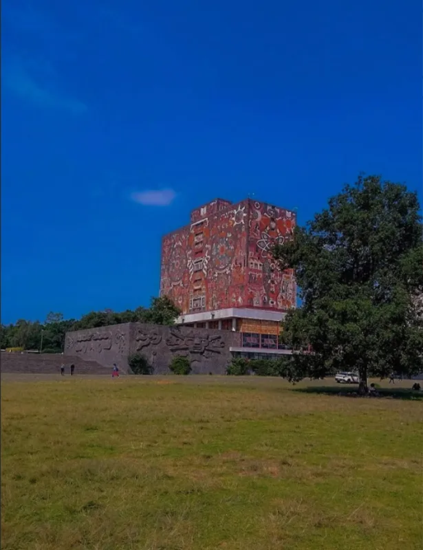 FOMO, el miedo a perderme ¿de qué?