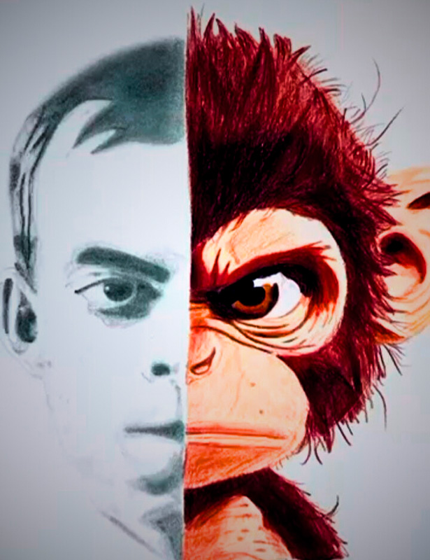 La ancha frontera entre humanos y animales